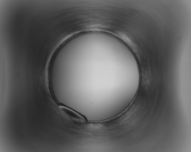 X0000089401384200706291359