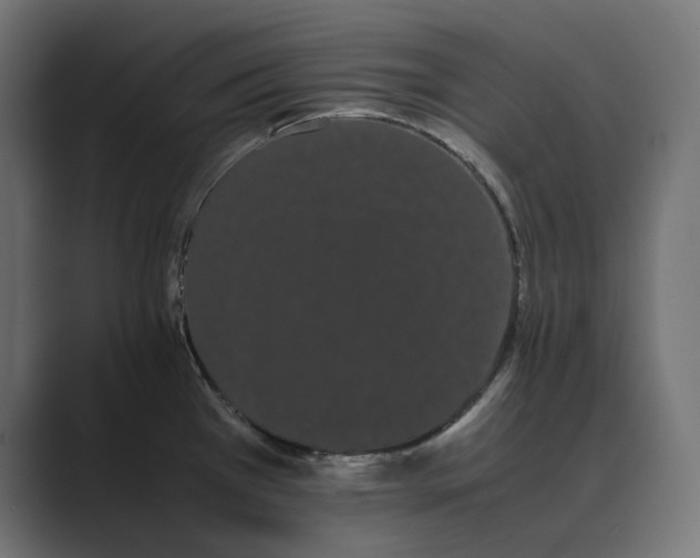 X0000089401385200706291359