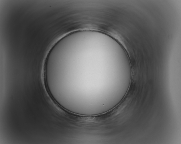 X0000089401387200706291359