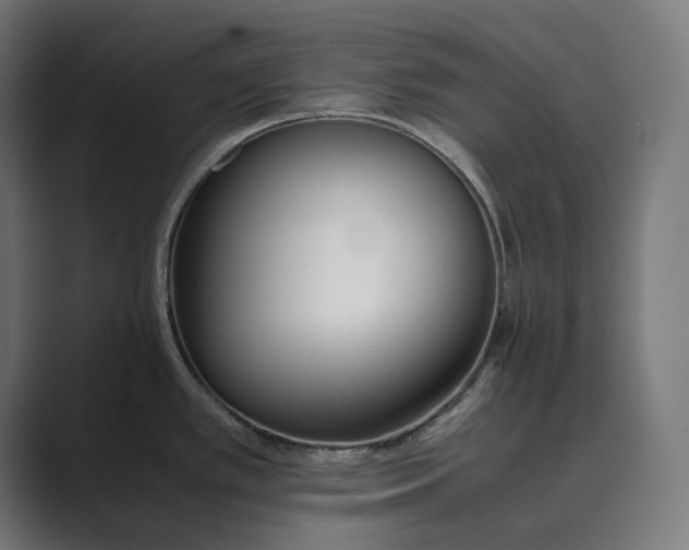 X0000089401389200706291359