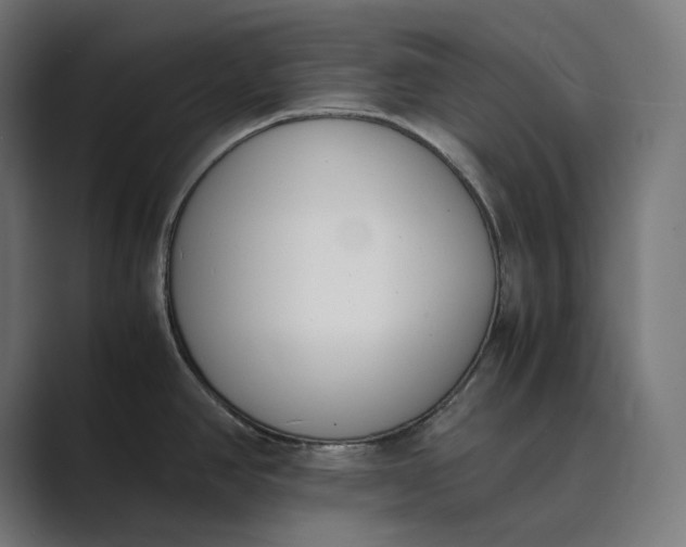 X0000089401390200706291359