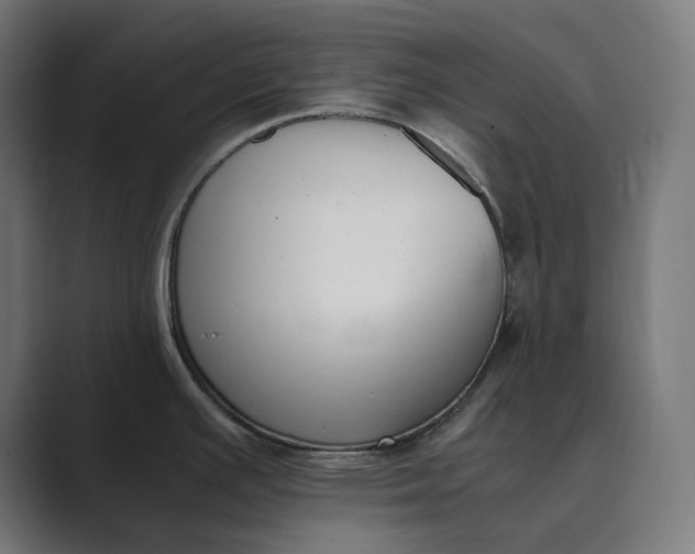 X0000089401391200706291359