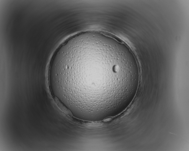 X0000089401392200706291359