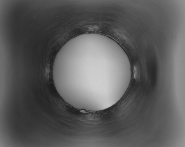 X0000089401395200706291359