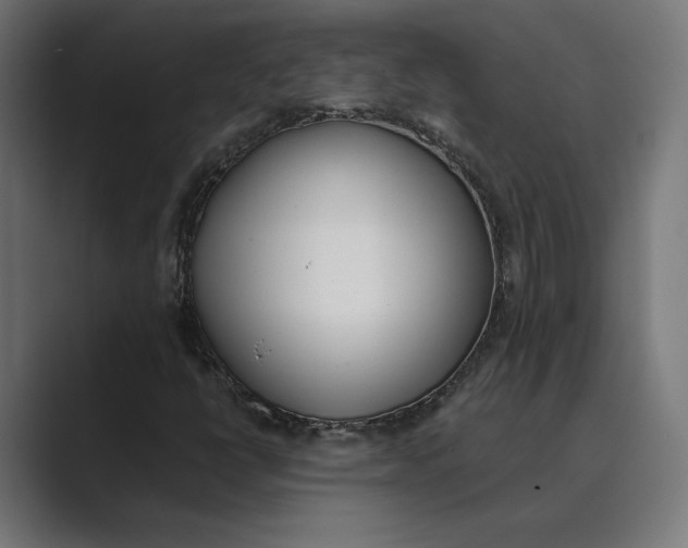 X0000089401398200706291359