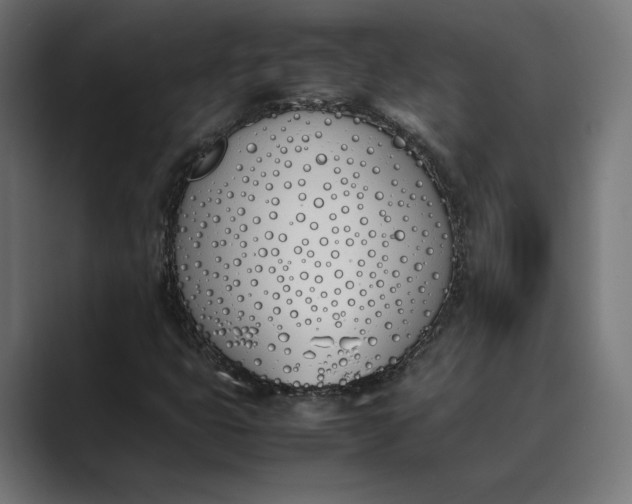 X0000089401399200706291359