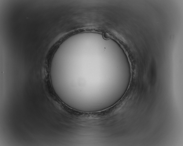 X0000089401400200706291359