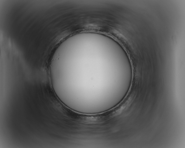 X0000089401401200706291359