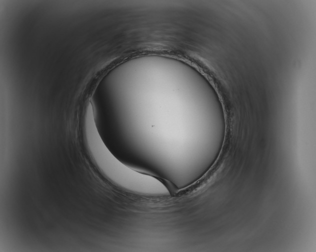 X0000089401402200706291359