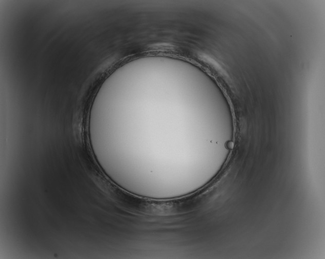 X0000089401403200706291359