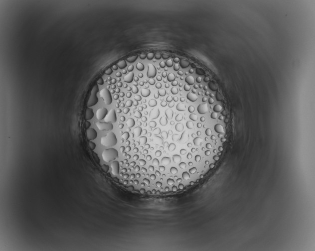 X0000089401405200706291359