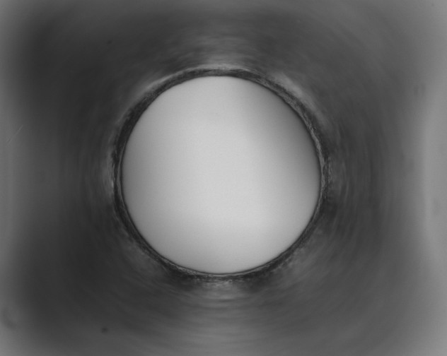 X0000089401408200706291359