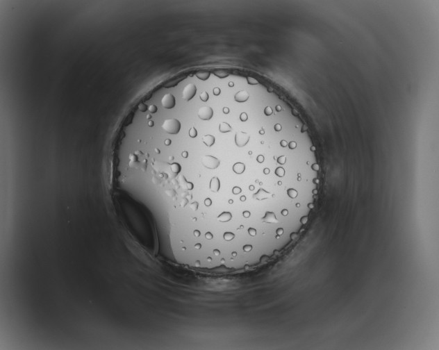 X0000089401413200706291359