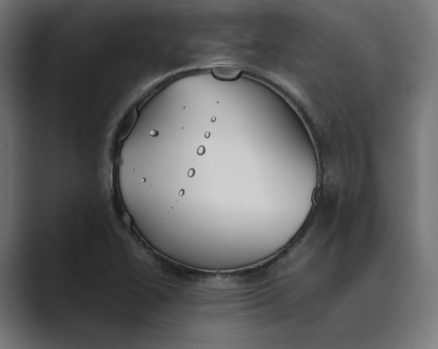 X0000089401414200706291359