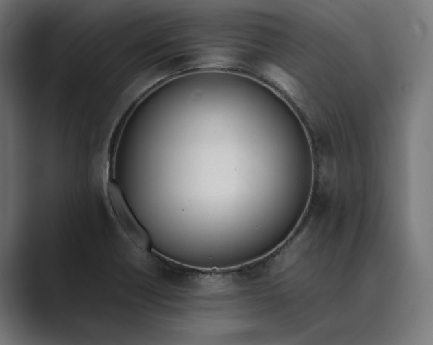 X0000089401418200706291359