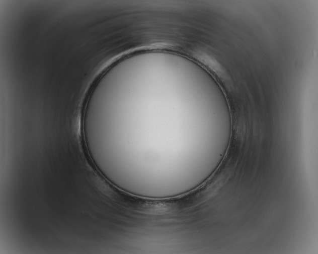 X0000089401420200706291359