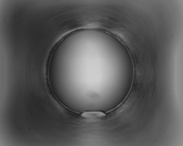 X0000089401422200706291359