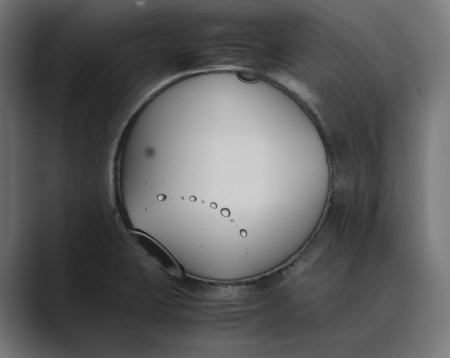 X0000089401423200706291359