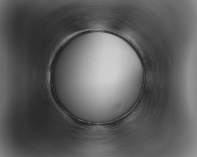 X0000089401424200706291359