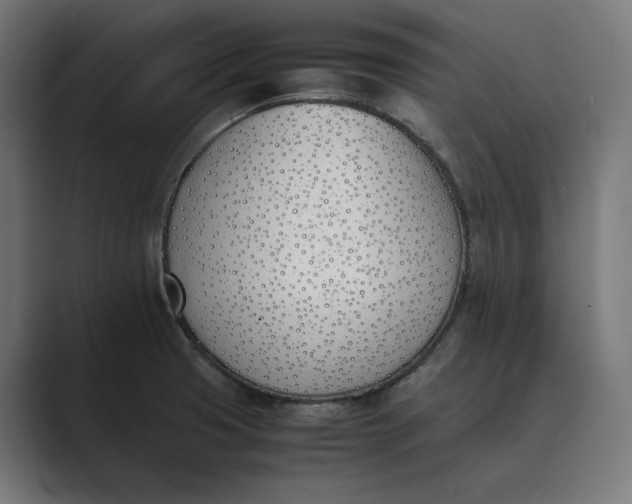 X0000089401425200706291359