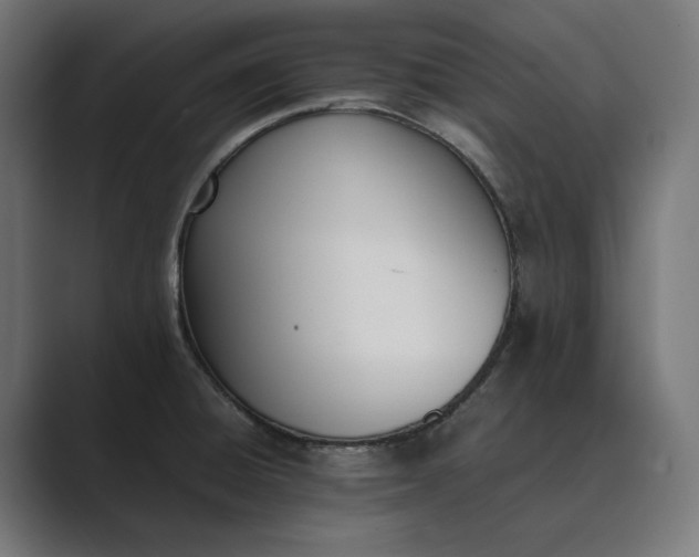 X0000089401428200706291359