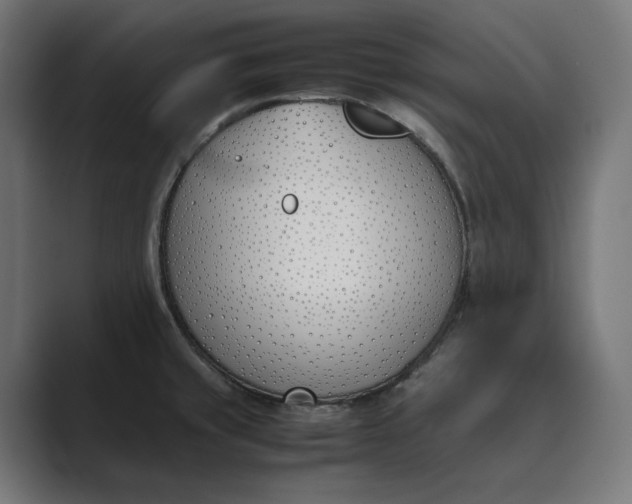 X0000089401429200706291359