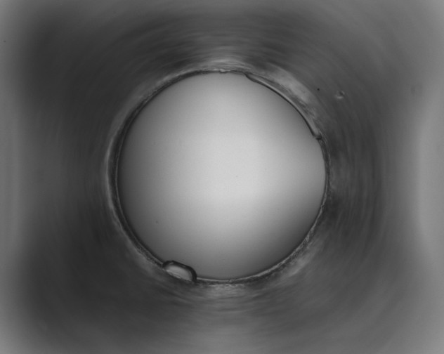 X0000089401430200706291359