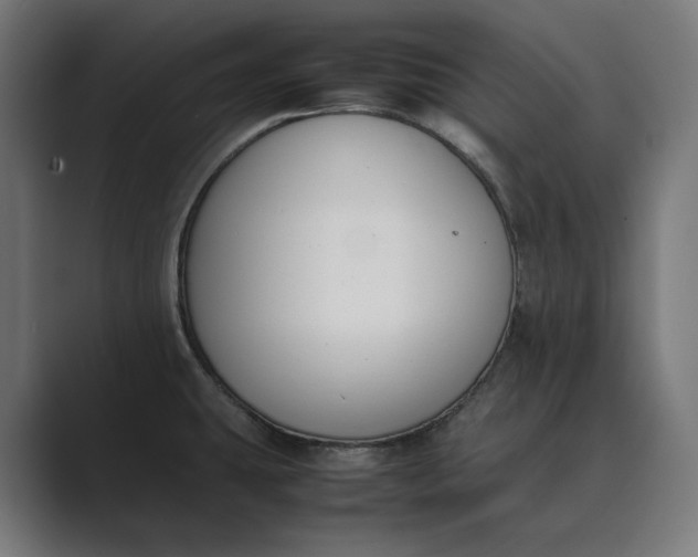 X0000089401431200706291359