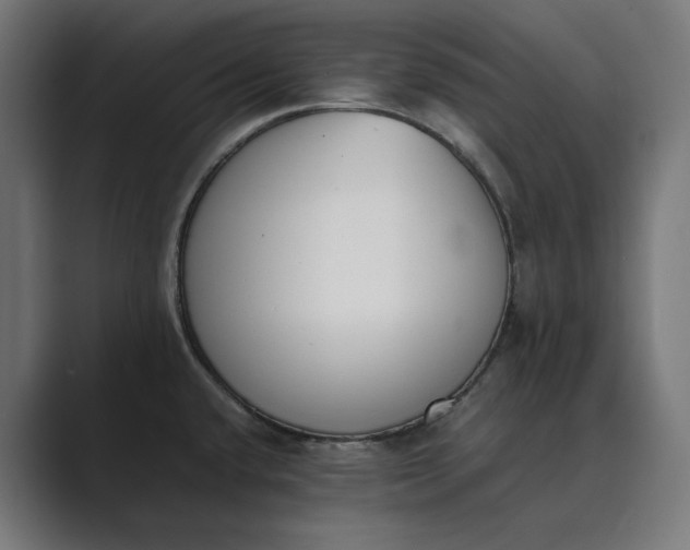 X0000089401432200706291359