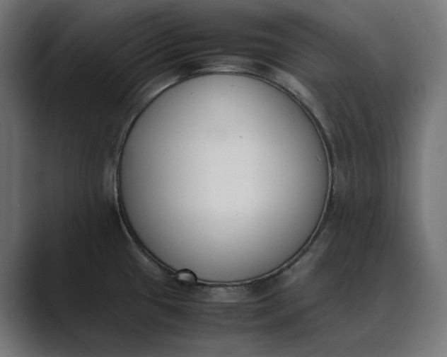 X0000089401433200706291359