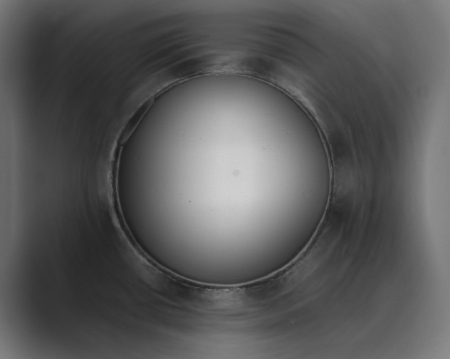 X0000089401434200706291359