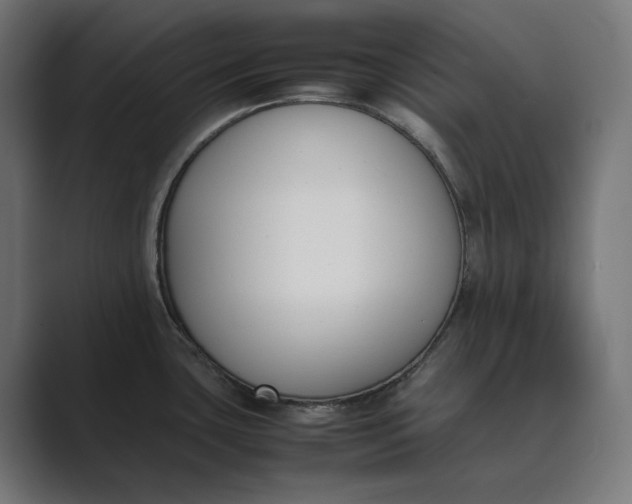 X0000089401435200706291359