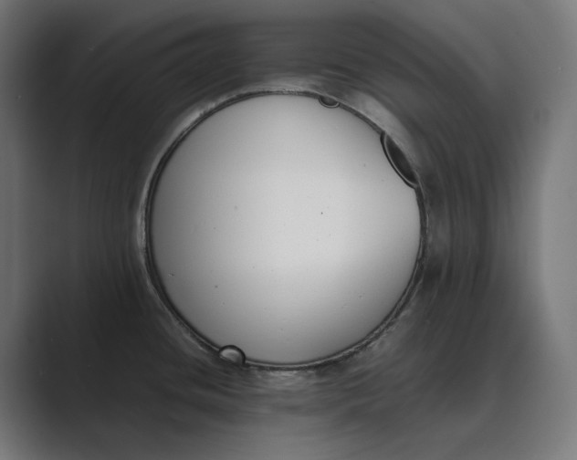 X0000089401436200706291359