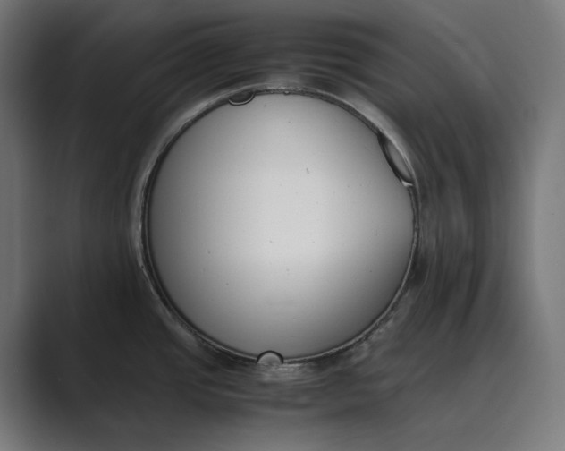 X0000089401437200706291359