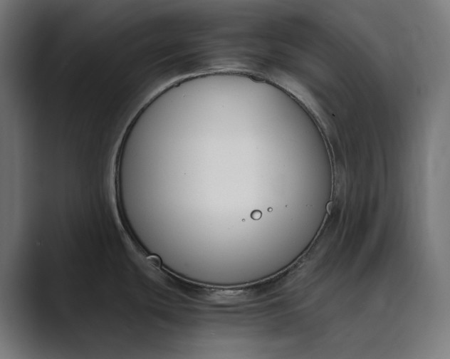 X0000089401439200706291359