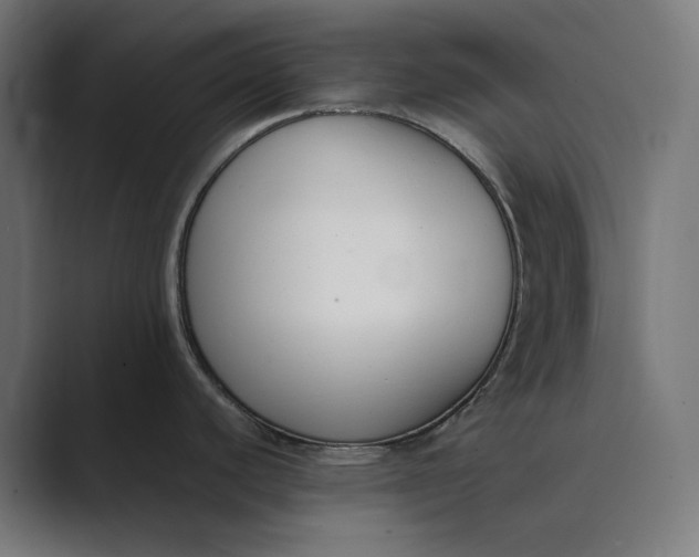 X0000089401440200706291359