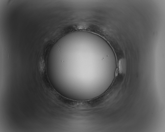 X0000089401443200706291359