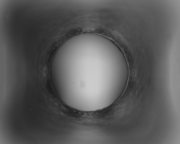 X0000089401445200706291359