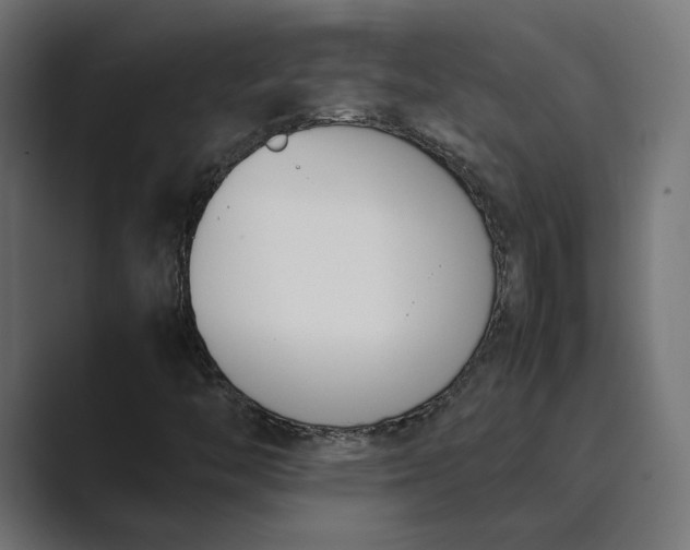 X0000089401446200706291359