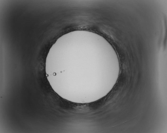 X0000089401447200706291359