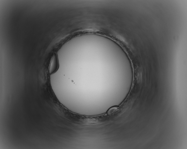 X0000089401448200706291359