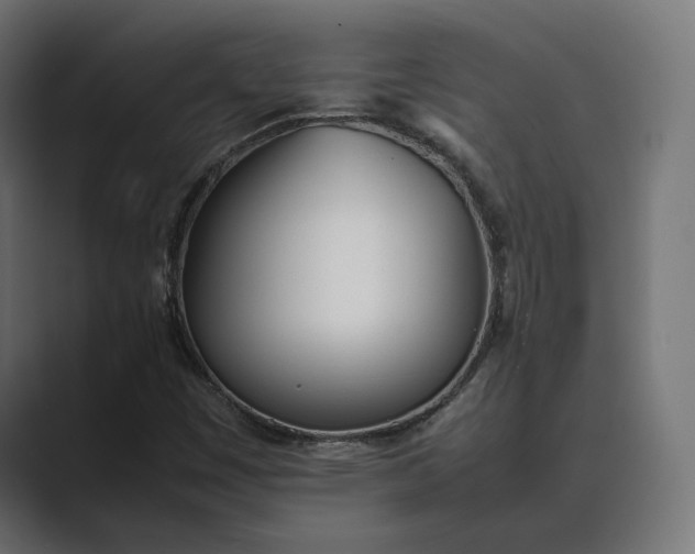 X0000089401449200706291359