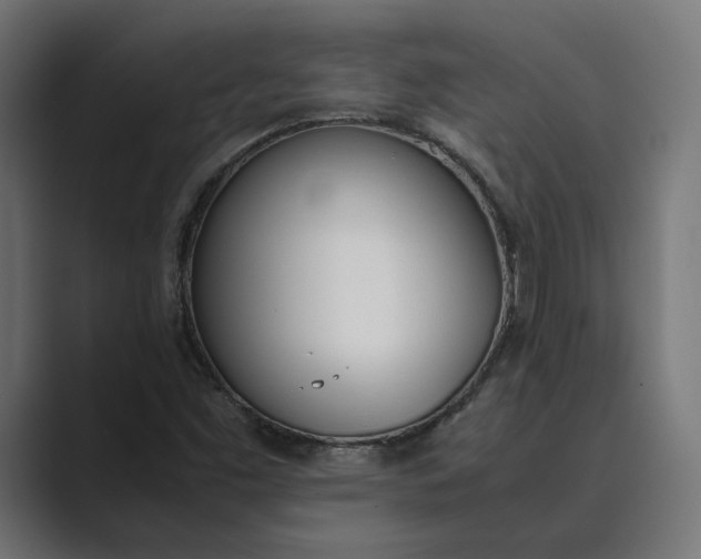 X0000089401453200706291358