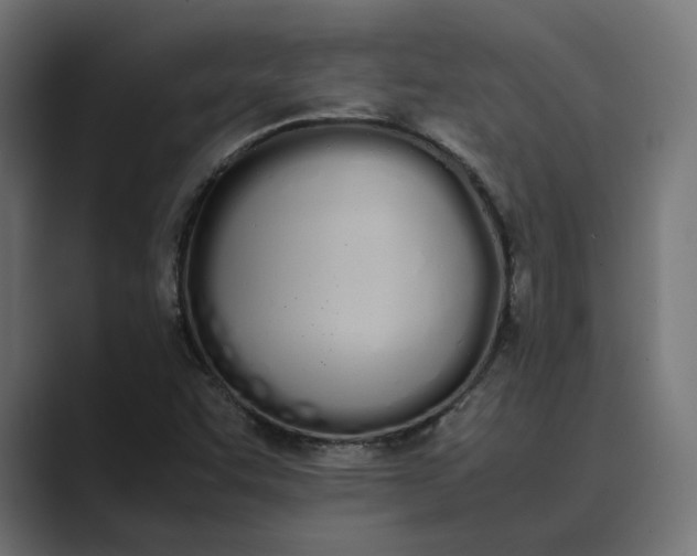 X0000089401455200706291358