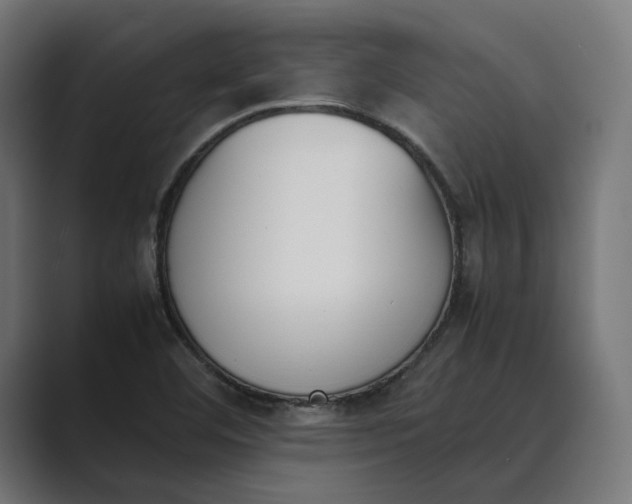 X0000089401460200706291358