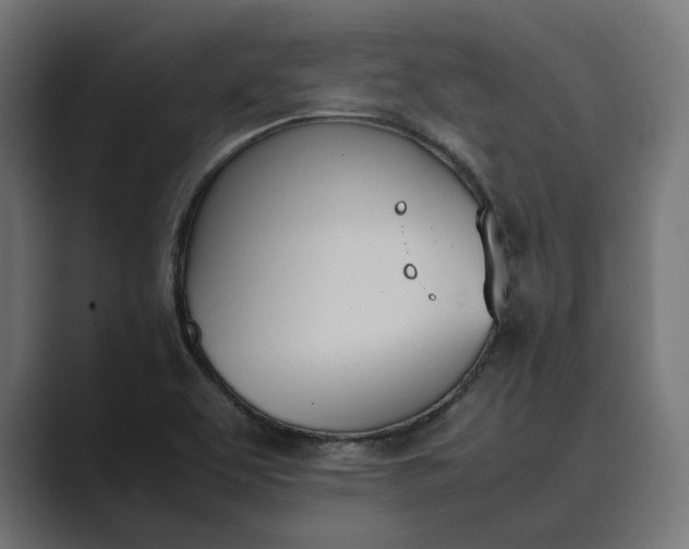 X0000089401463200706291358