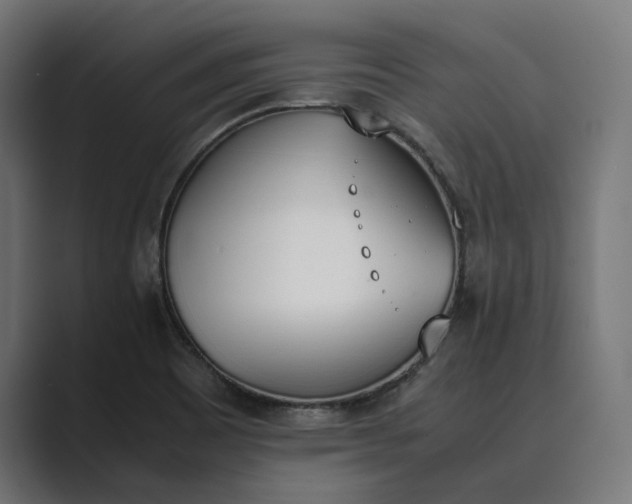 X0000089401465200706291358