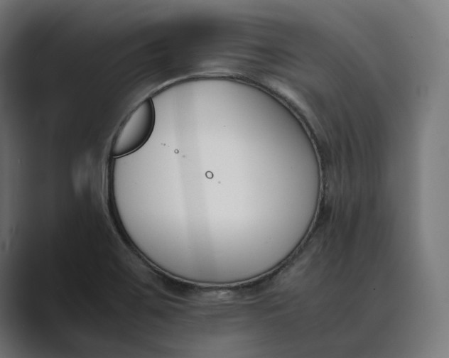 X0000089401467200706291358