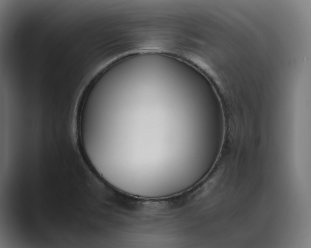 X0000089401469200706291358