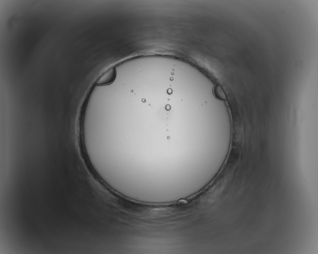 X0000089401471200706291358